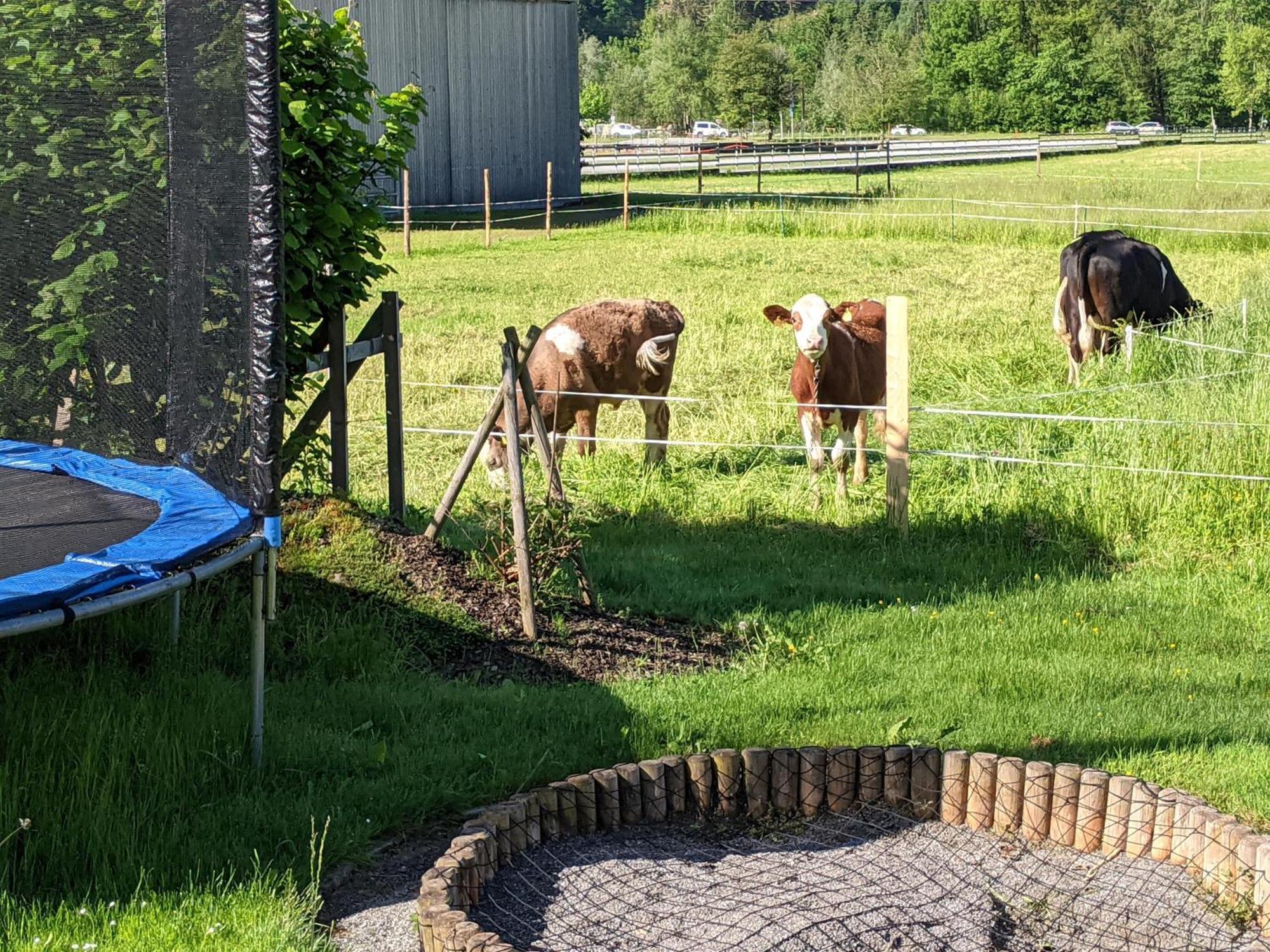 Ferienhaus Schwarzhans Schruns Esterno foto
